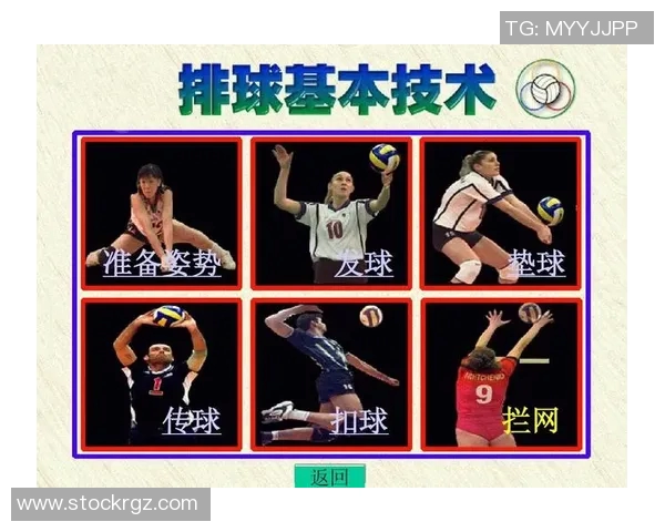 武汉排球队的排球战术解析与节奏体系的深度剖析